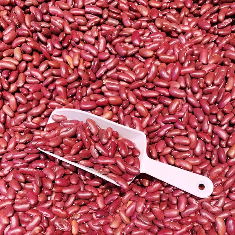 Multi-Purpose Plastic Kitchen Ice Scoops Bar Scoop for Canisters Flour Powders Dry Foods Candy Pop Corn Coffee Beans