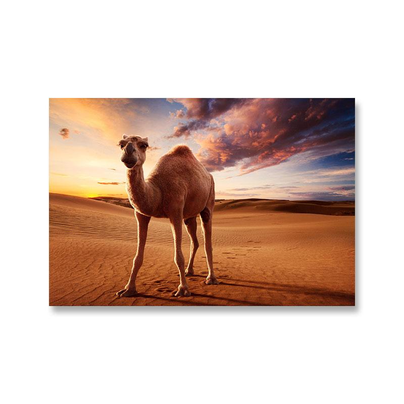 Desert Camel Canvas Painting Animal Wall Pictures Landscape Egyptian Pyramids Nile Posters for Living Room Wall Decor Cuadros