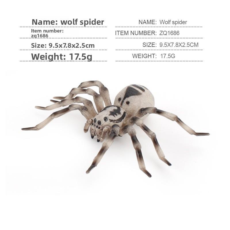 Spider Model Set With Plastic Material For Home Decor And Gift For Nature Lovers