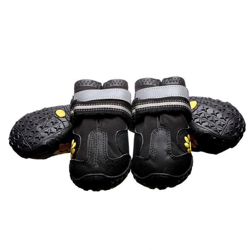 dog side shoes