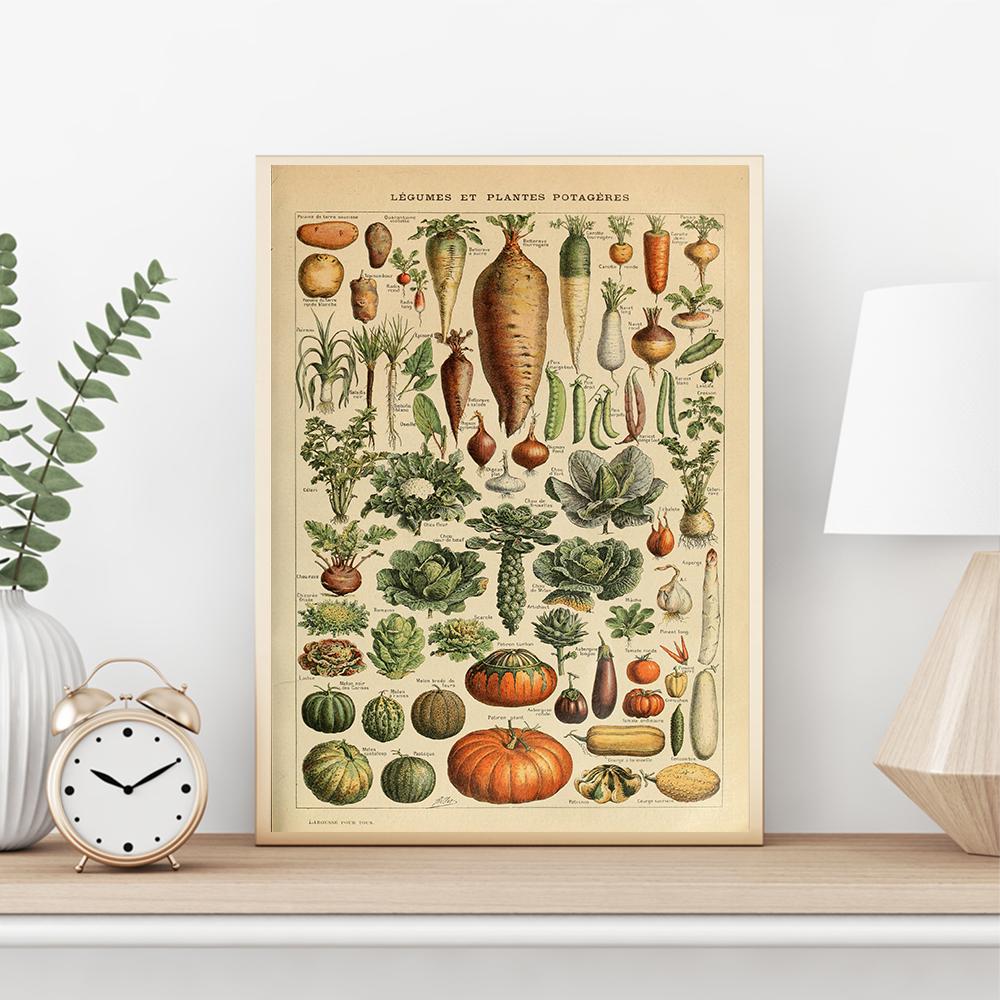 Vintage ovoce, zelenina, fazole graf nástěnný plakát plakát kuchyně