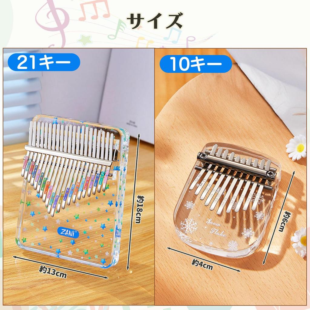 S.T.S.G Kalimba Thumb Piano Finger Piano Beginner Set 10 Keys with Manual and Storage Case Gift