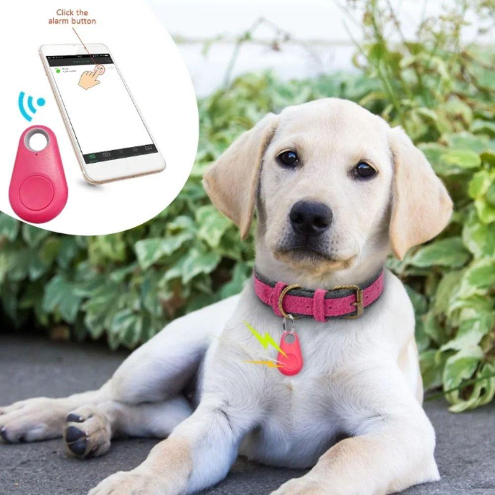 Kunststoff Mini Pet Locator Anti-verloren Alarm GPS Locator Pet Bluetooth GPS Tracker Für Hunde Katzen