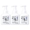 Shuguoyuan Tea Scent Antibacterial Foaming Hand Soap