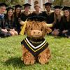 Realistic Highland Cow Plush Toy Fluffy Scottish Cattle Stuffed Animal Doll