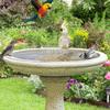 Bird Bath Cleaner Copper Safe Fountain Cleaner Home & Garden Supplies for Family Statue Tree Balcony Apartment Winter Friends