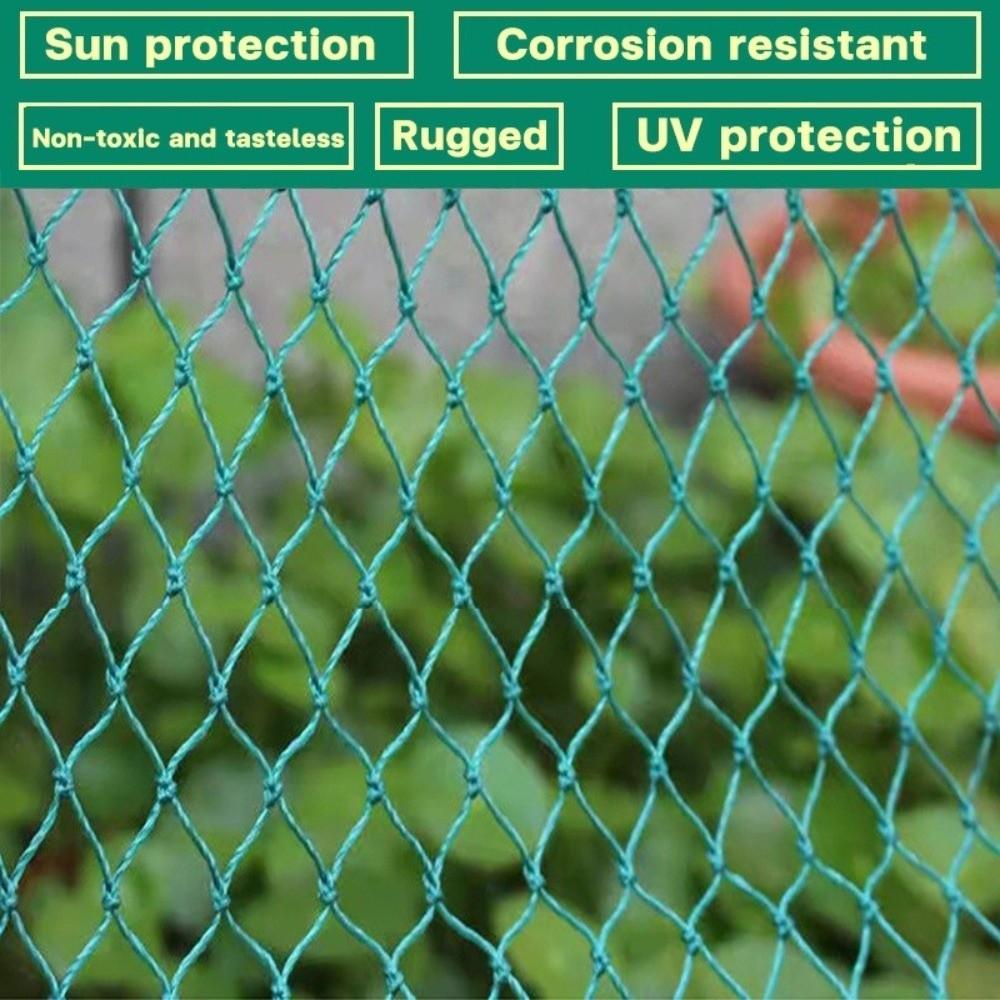 1.25inch Mesh Anti Bird Netting Nylon Material Orchard Net  Orchard Protection