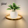 Modern Gold Metal Display Shelf Floating Wall with LED Light Rack Warm Ambient Light for Plants Book Space Saving Mounted Decor Hidden Bracket Sleek