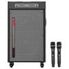 Malata Portable Home KTV Sound System (CN Version)