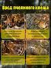 Bee Treatment Product