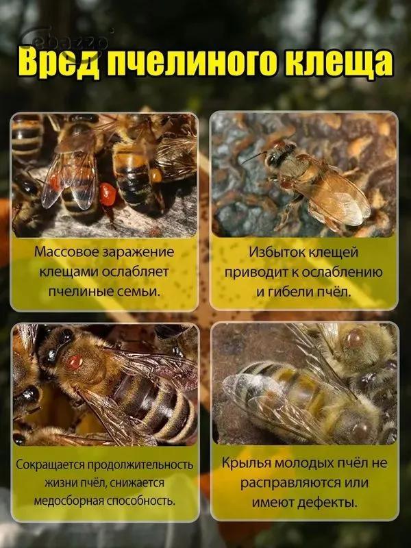 Bee Treatment Product