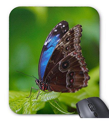 

Синий коврик для мыши Morpho Photo Pad Insect (Мировая серия)