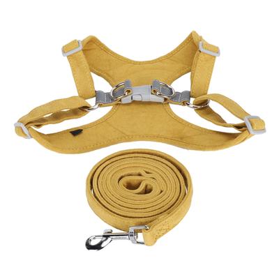 Cani – Collari e guinzagli per cani