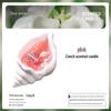 Seashell Scented Jelly Wax Candle - Handmade Conch Aroma Gift Box for Odor Removal and Elegant Decoration