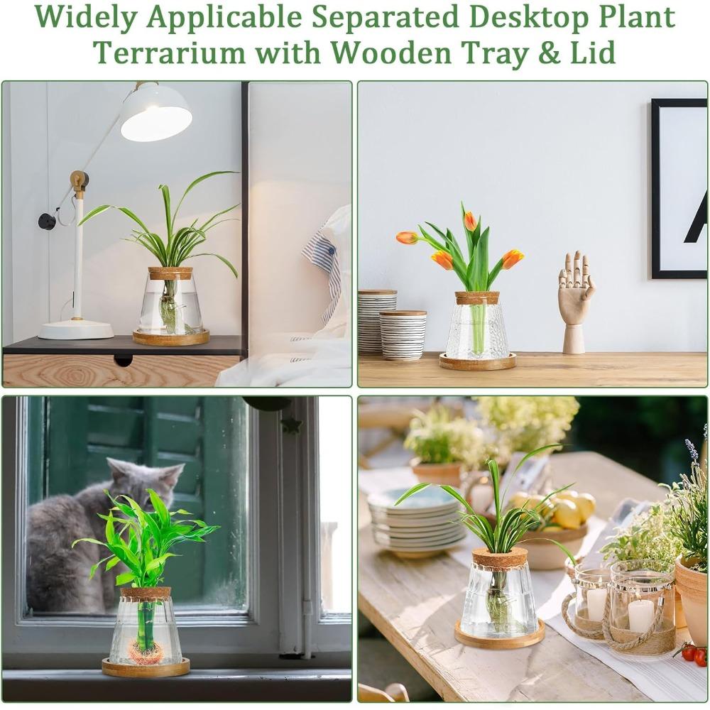 3pcs Plants Propagation Station Separated Desktop Plant Terrarium with Wood Lid and Stand 3 Style Glass Planter Propagated Jars