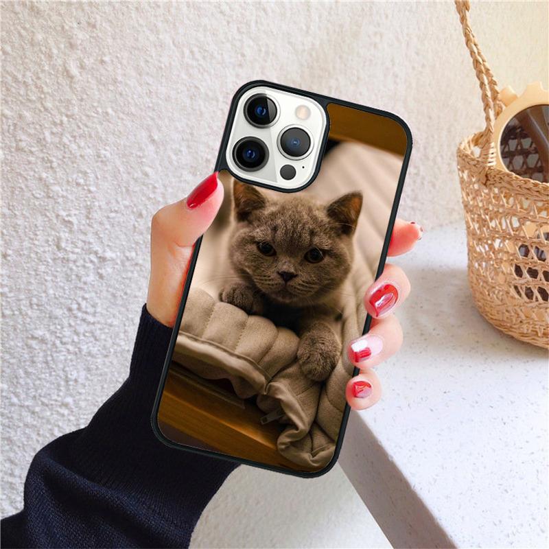 British shorthair cat Phone Case for iPhone 17 Air 16 PRO MAX 15 14 PLUS 11 12 13 Back Cover Fundas Shell