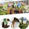 12-60PCS Home Garden Decor Cute Artificial Birds Faux Foam Animals Simulation Feather Bird Models DIY Craft Ornaments