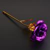 24k Gold Foil Plated Eternal Rose Flower for Romantic Valentine's Day Lover Wedding Mother's Day Gifts