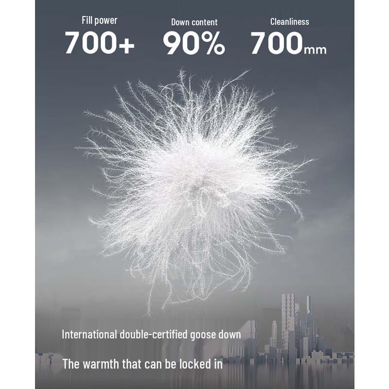 BOSIDENG Slim-Fit Stand-Collar Down Jacket B250136702