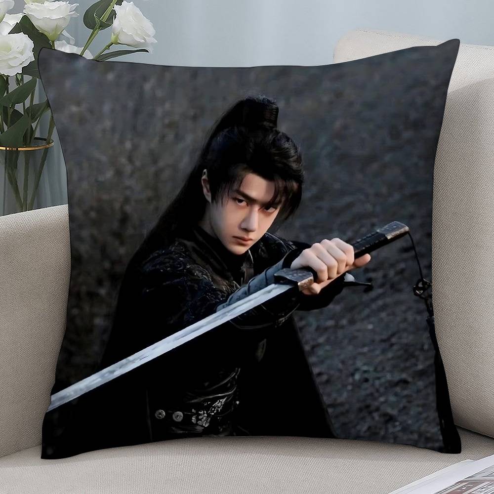 

W-Wang Yibo Pillow Case Short Plush Sofa Decorative Gift Home Double-sided Printing Cushion 12x12in 30x30cm