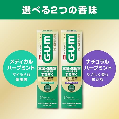 GUM Premium Dental Paste (Medical Herb Mint) 85g2 Pieces Quasi-drug