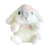 AQUA Kutarin Rabbit Rainbow Plush Toy (Random Fabric Pattern, Cannot Be Specified)