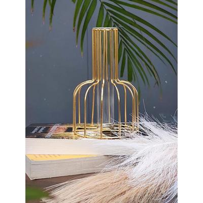 1 Pcs Metal Vase for Home Decor, Living Room, Bedroom, Office, Table Centerpiece | Propagation Station with Metal Frame,