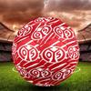 05 1FSV Mainz 05 Größe 5 Fußball, Standard-Spielball für Sportspiele und Mannschaftstraining, Ideales Geschenk für Fußballfans