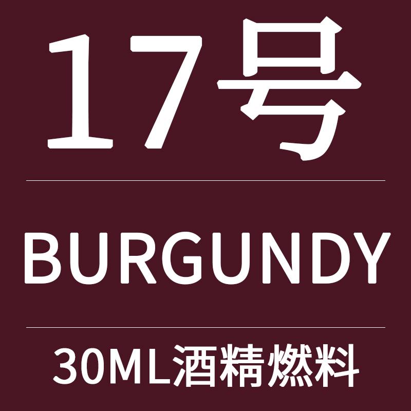 30ml Bottle Quick-Dry Alcohol-Based Leather Dye for DIY Crafts Cowhide Tooling Veg-Tanned