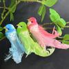 Long Tail Simulation Bird Six Colors Curly Feather Curly Bird Garden Backyard Foam Material Bird Figurines Home Garden