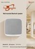 Wall-Mounted Bluetooth Speaker: Sync Multiple Speakers, No Wiring Needed for Commercial Spaces