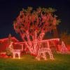 12 Meter LED Pixel String Light 40 Ft for Diwali, Christmas Home Decoration.Heavy Duty Copper Led Pixel String Light Rice String