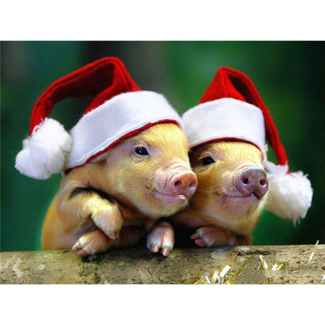 Porc DIY 5D pictura cu diamante cu punct de cruce animal rotund complet rășină diamant broderie kit imagine de strass mozaic walll art