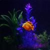 Glow In The Dark Artificial Fish for Aquarium - Lifelike Tropical Fish Decoration Clownfish Guppy Angelfish Fake Ocean Ornaments