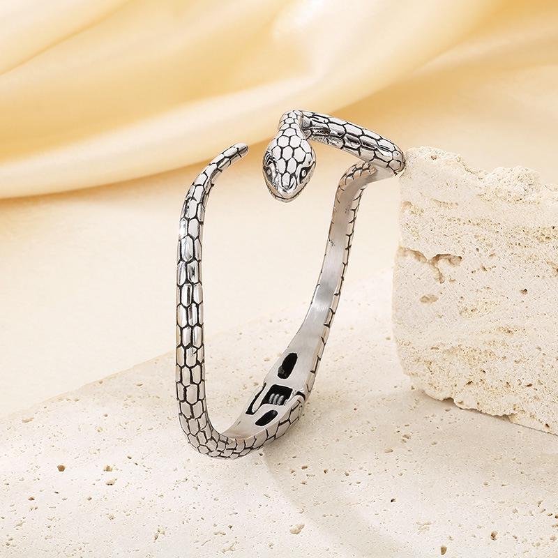 Punk Geometric Snake Shaped Titanium Steel Bracelet
