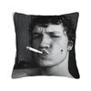 Hudson Williams Connor Storrie Heated Rivalry Smoke Pillow Cover  Morden Pillow Case For Living Room Sofa Design Pillowcases