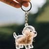 Dog Hair Storage Keychain