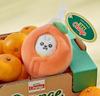 BT21 Baby Orange Party Mini Toy Keyring Set – 6 Characters