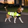Bright Orange Puppy Visibility Jacket Adjustable Pet Fluorescent Clothes  for Walking Night