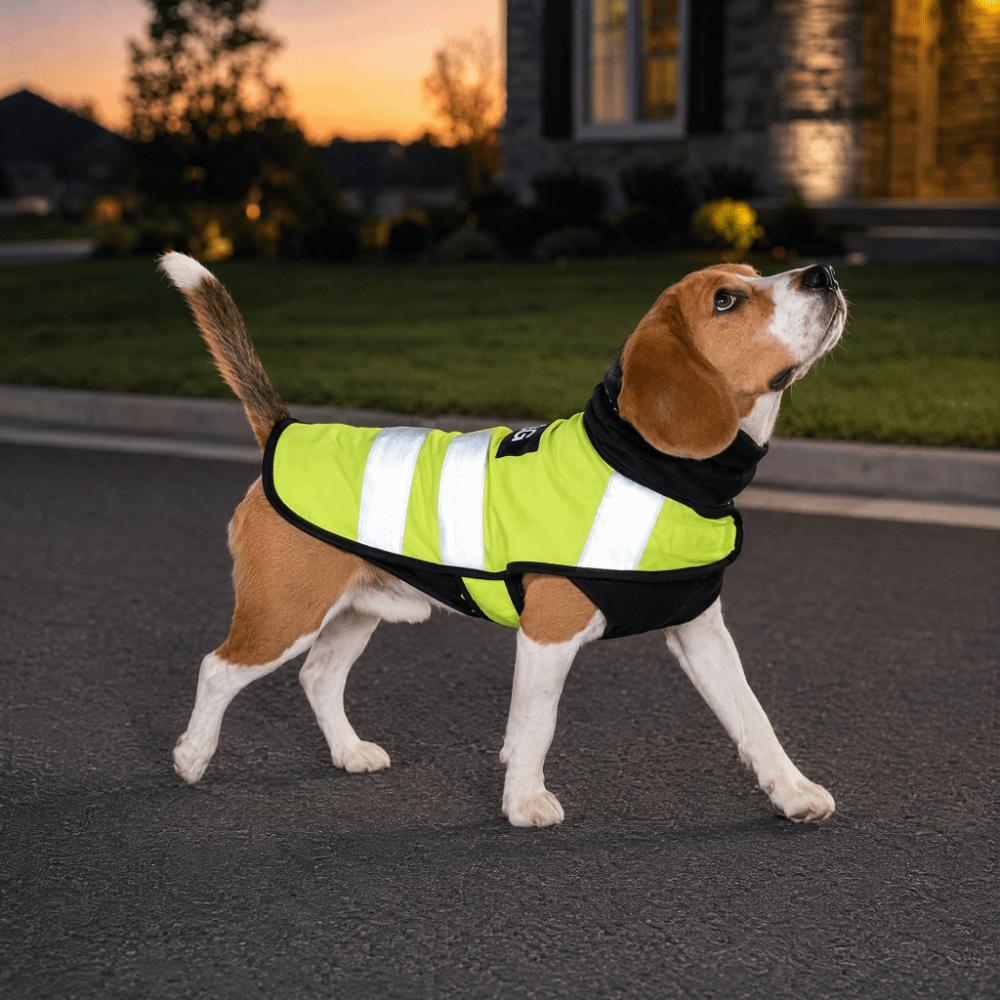 Bright Orange Puppy Visibility Jacket Adjustable Pet Fluorescent Clothes  for Walking Night