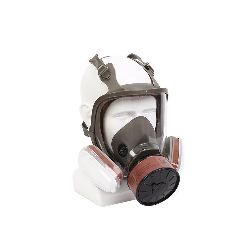 WEZHO 6800 Full Face Gas Mask Respirator Kit