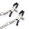 Metal Nipple Clamps & Ball Gag Set for Erotic Oral Slave Training
