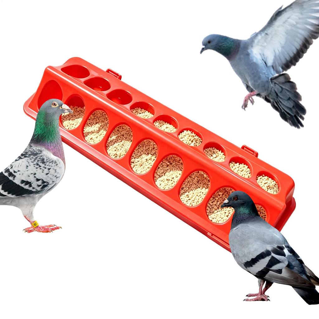 Poultry Feeder Trough Anti-waste Chicken Birds Waterer Feeding Bucket Chicken Water And Food Dispenser Bowl