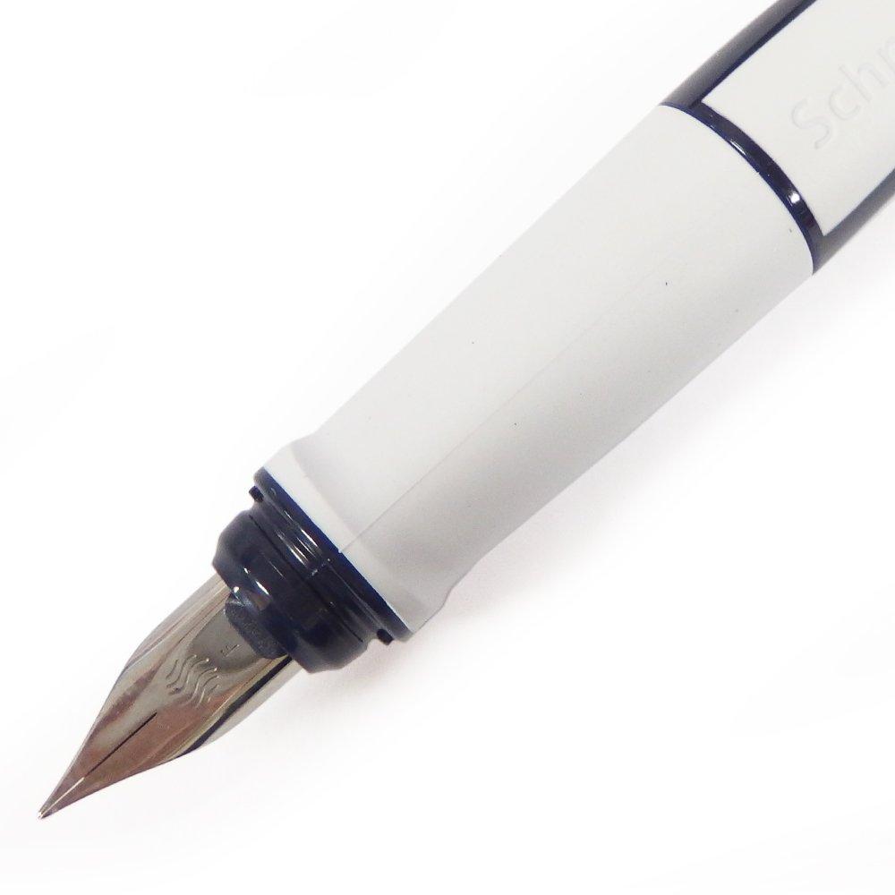 Schneider Ray Series Fountain Nib Ink Includes 1 Ink Body RYFP168123F Pen, Size F/Fine, Color Black, Cartridge, Color Blue/Light Gray,