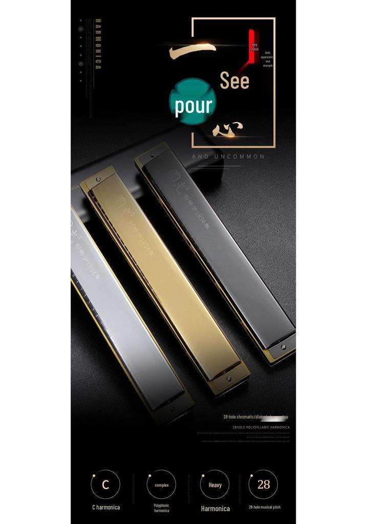 Guoguang 24-Hole Double Reed Harmonica, C Key for Beginner Students and Self-Study, Suitable for All Ages