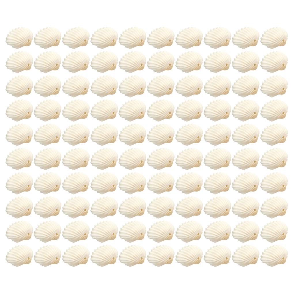 100Pcs Seashells Beads for Handmade Bracelets and Necklaces Jewelry Making Components Stylish Sea Shell Accessories