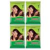 Neeta 100% Natural Mehendi Powder Pure Henna Powder 150g Brown (Pack of 4)