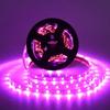 5V USB Led Full Spectrum Plant Grow Light Strip 1m/2m/3m Strip for Flower Seedling Grow Greenhouse Hydroponic Plants Lighting