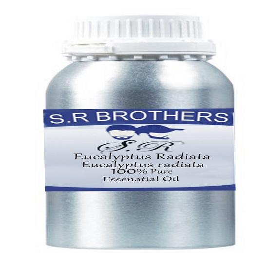 S.R. Brothers Eucalyptus Radiata (Eucalyptus Radiata Sieber)Essential Oil