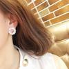 Micro-Set Sparkling Zircon Tremella Needle Earrings Women'S Simple Personality Temperament Earrings Accessories Ear Jewelry
